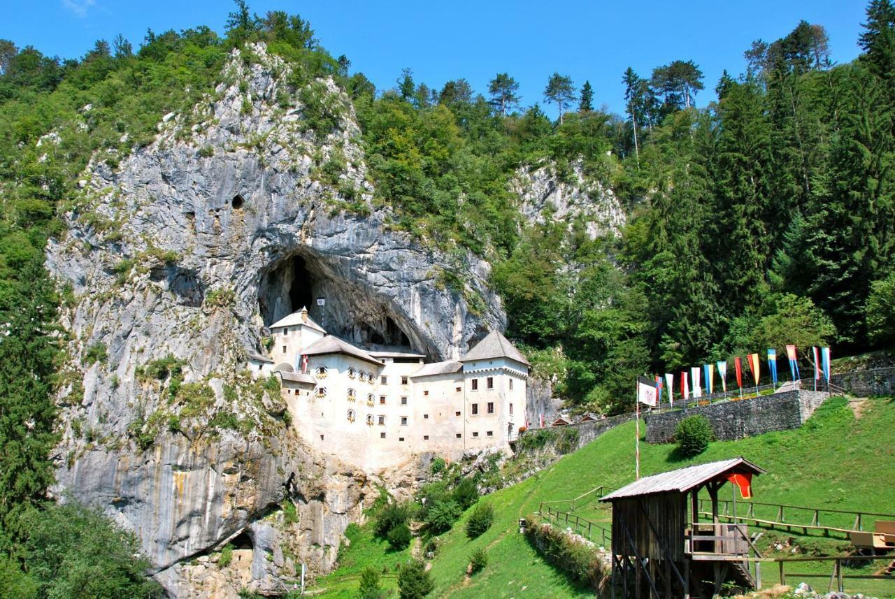 Apartmaji Dolgi Most * Laibach